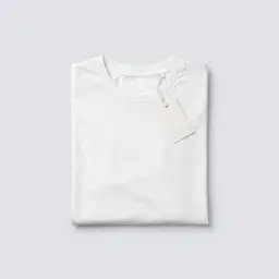 新着